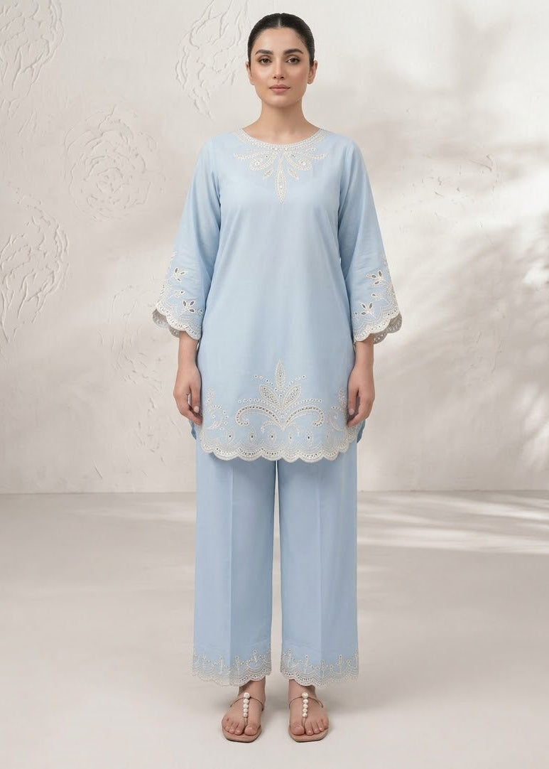 Elegant ice Blue 2-Piece Embroidered Suit