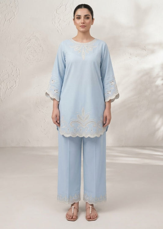 Elegant ice Blue 2-Piece Embroidered Suit